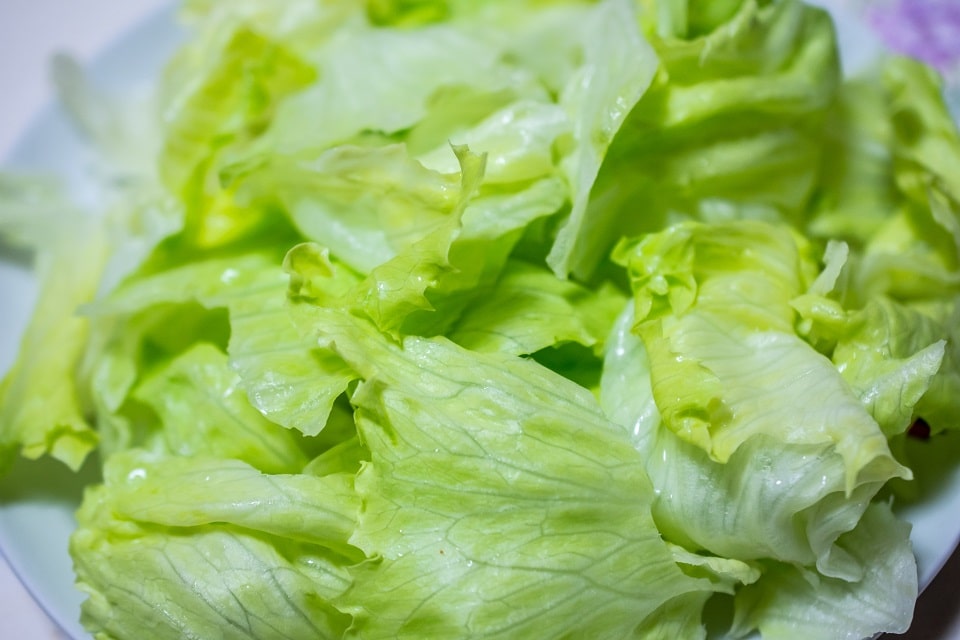 レタス