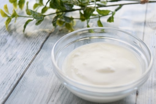 タンパク質が豊富なヨーグルト