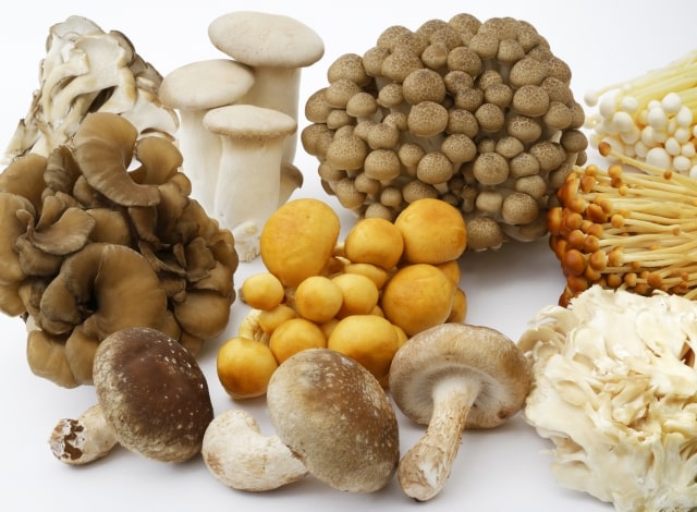 食物繊維が摂れるきのこ