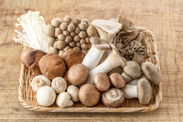 食物繊維が多いきのこ
