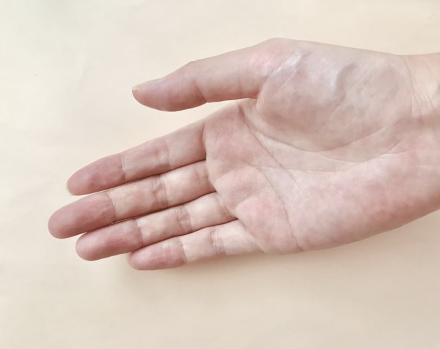 手のひら