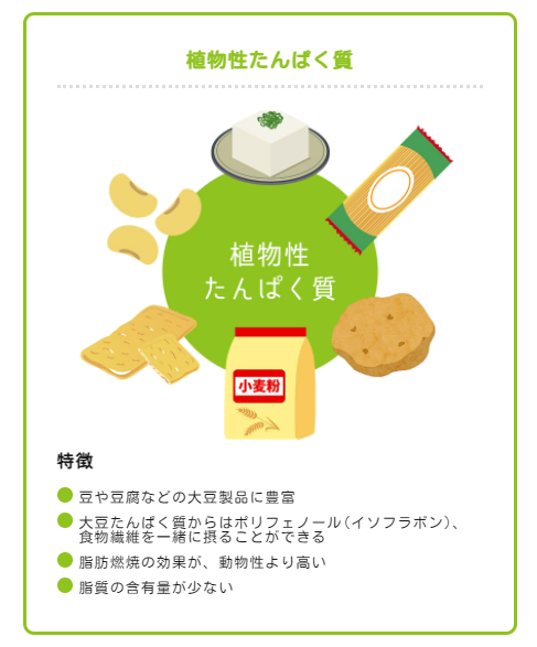 植物性タンパク質の特徴