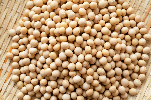大豆