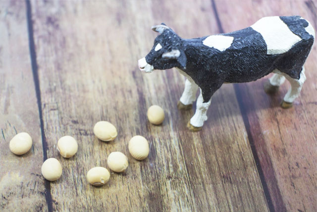 豆乳と牛乳を比較!健康に良いのはどっち?栄養成分を解説