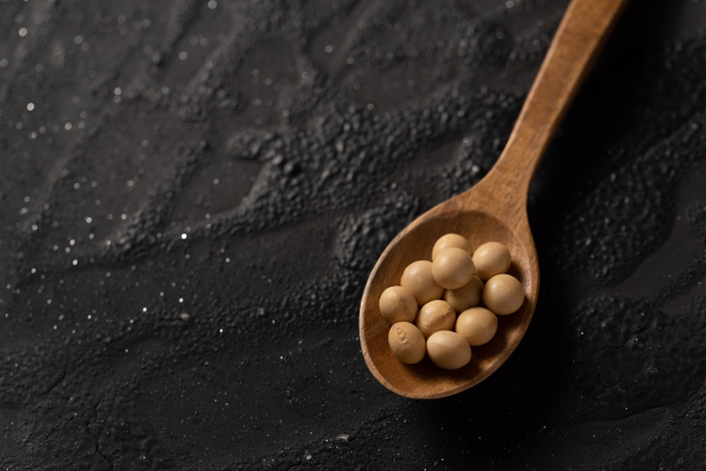 ソイプロテインの原材料は大豆