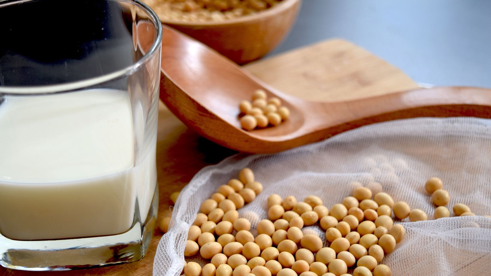 豆乳と大豆