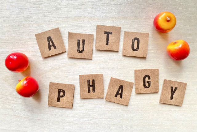 AUTO PHAGY